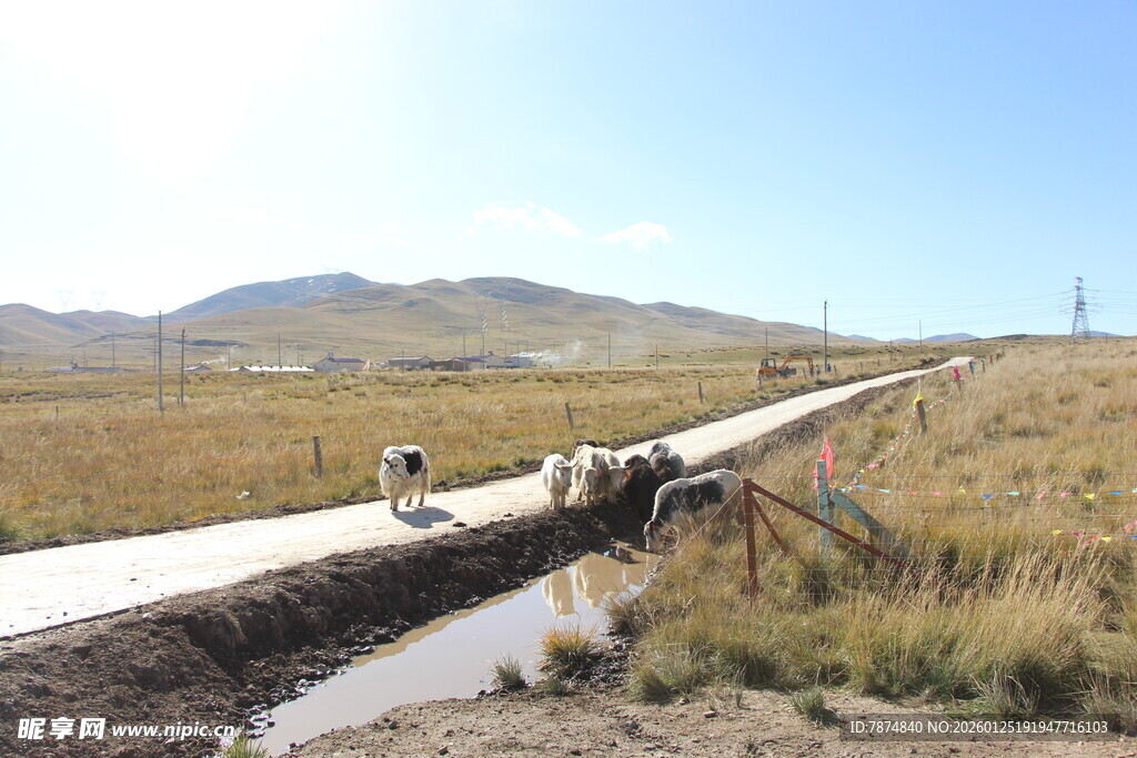 乡村公路旁的施工场景