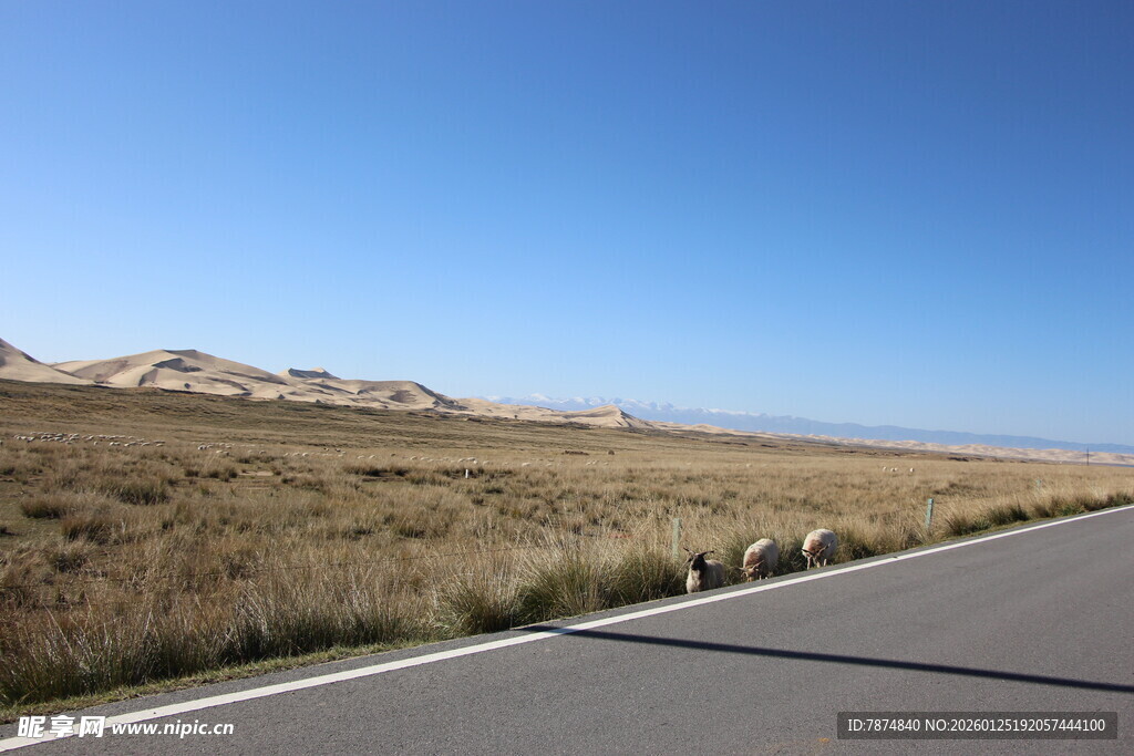 旷野公路 视野开阔之景