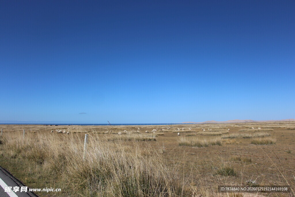广阔草原上的晴朗蓝天
