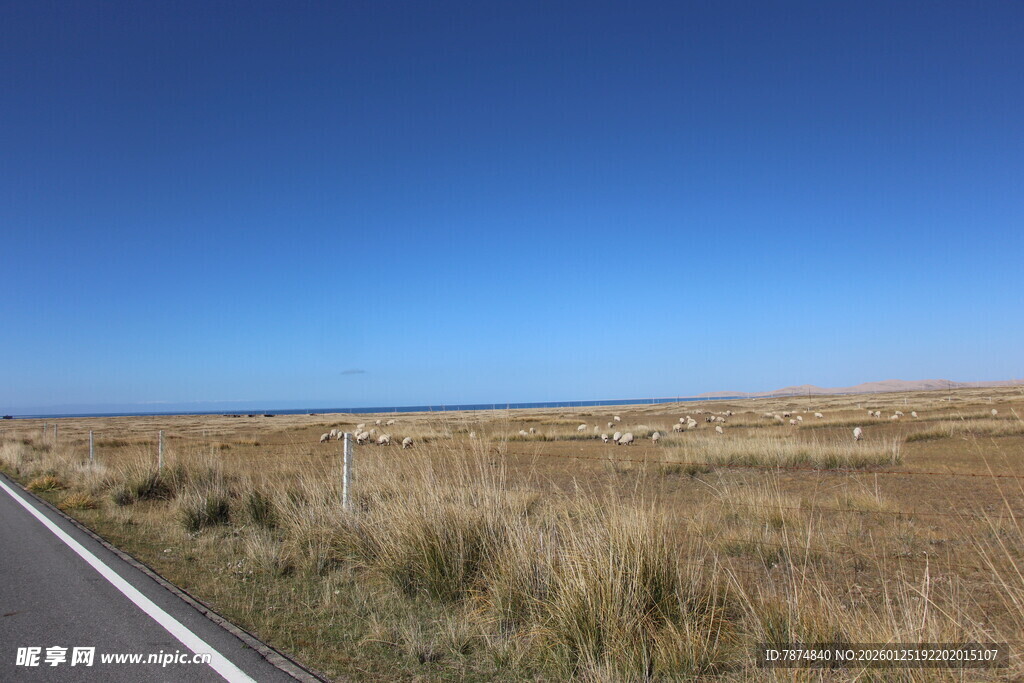 公路旁的开阔原野风光