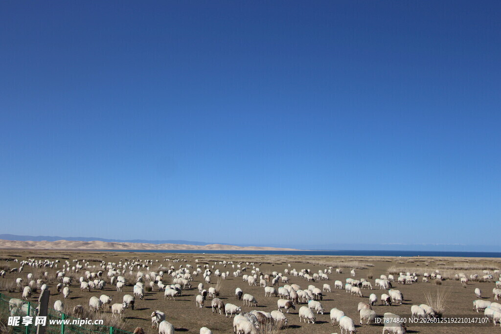 广阔墓地与蓝天