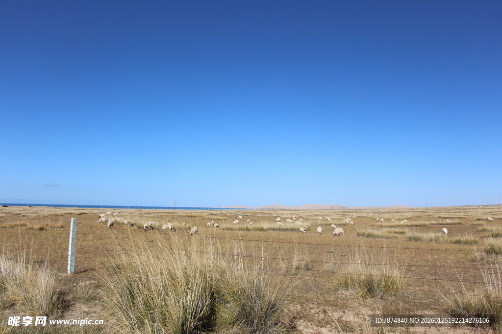 广袤草原上的蓝天与草垛