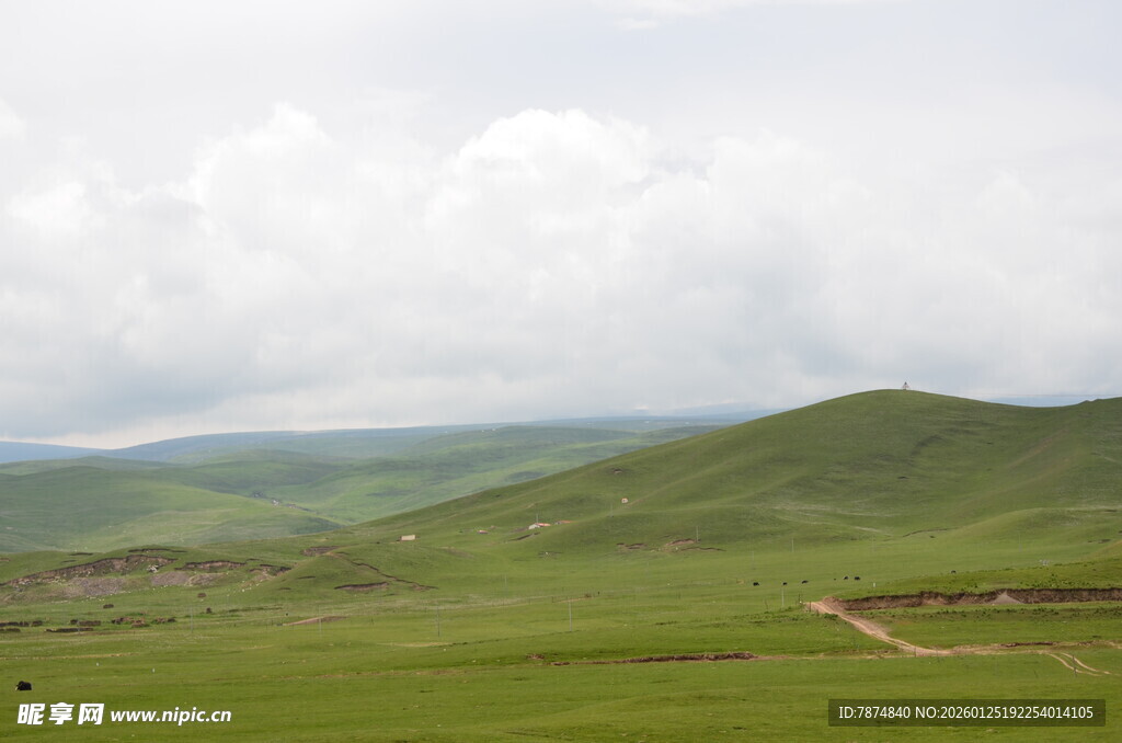 草原绿野 远山云雾缭绕