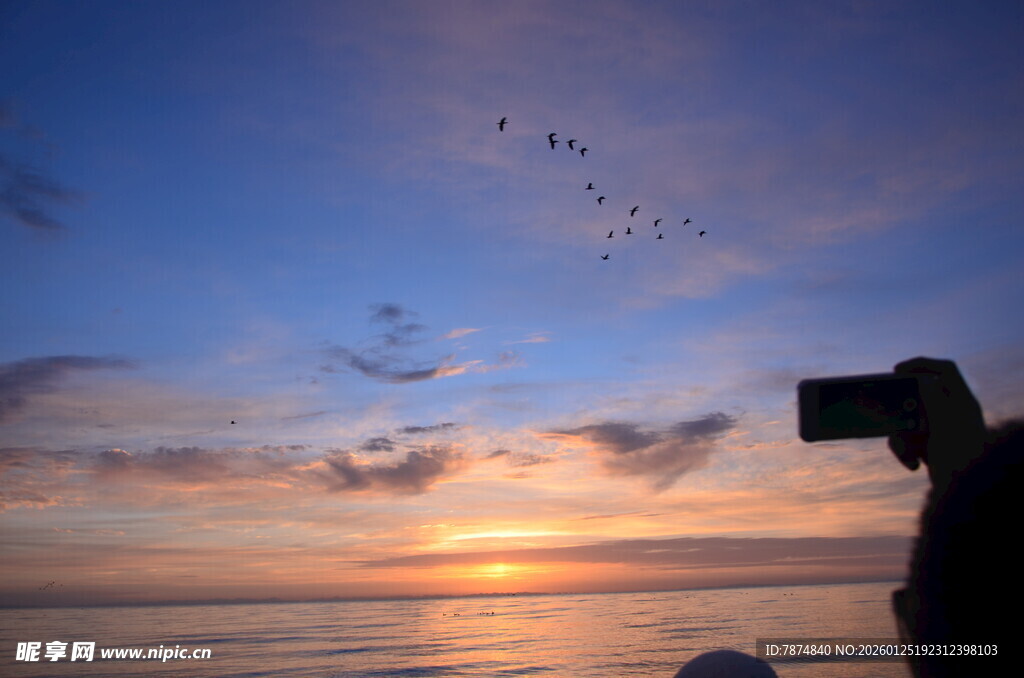 夕阳下摄影师拍飞鸟美景