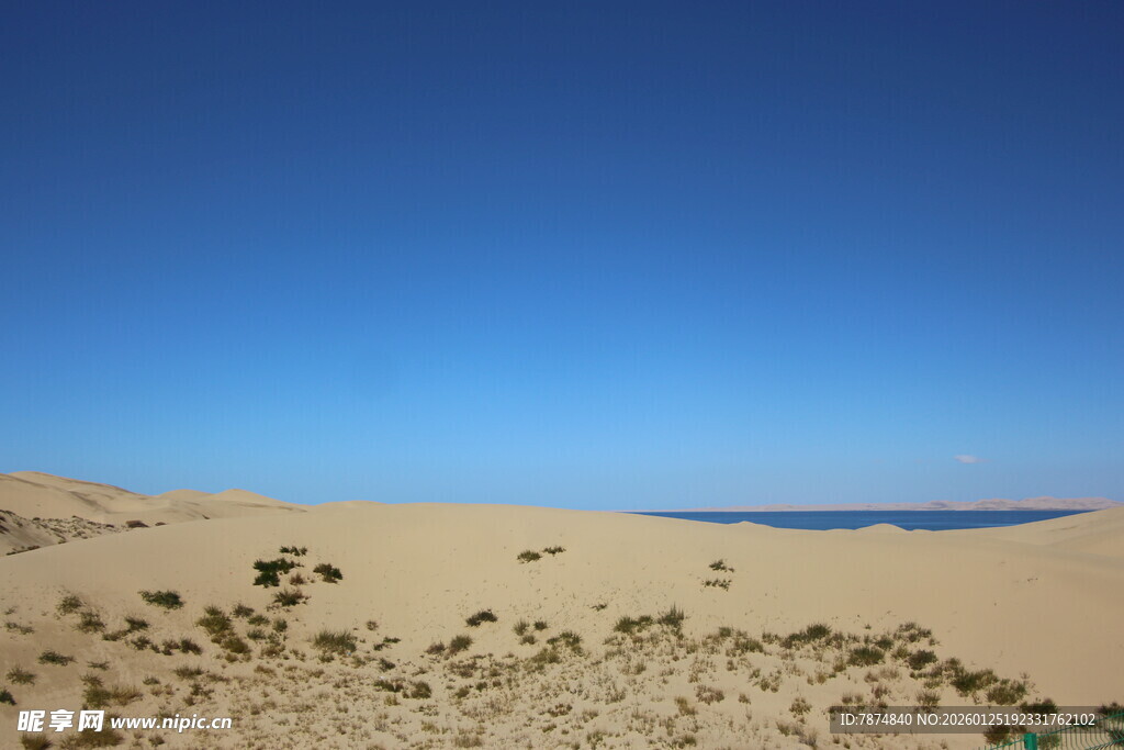 沙漠风光 蓝天与稀疏植被