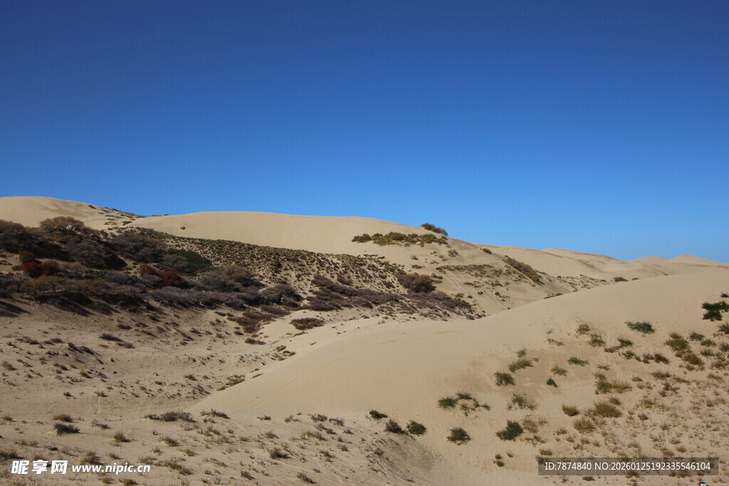 沙漠风光 稀疏植被与蓝天