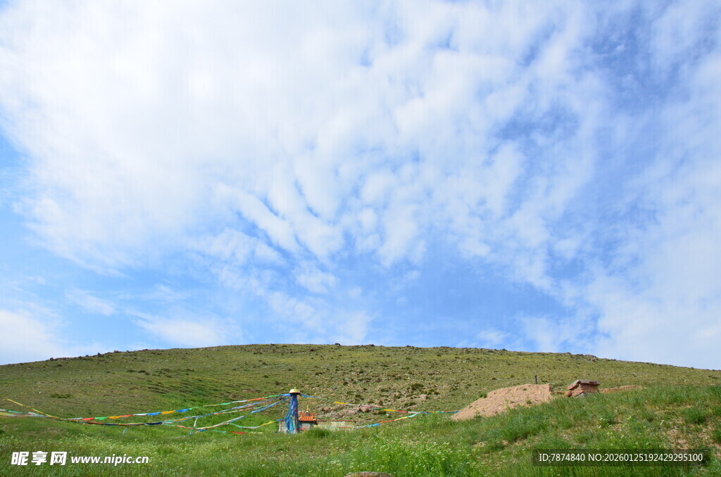 草原上的悠闲时光