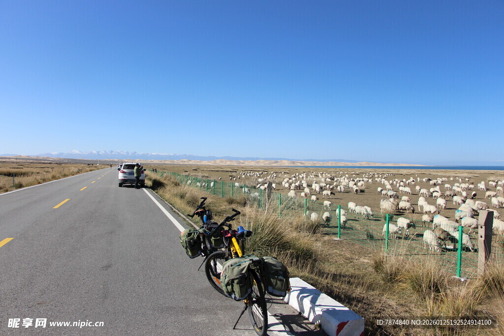 公路旁的羊群与骑行装备