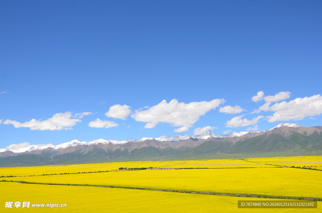 金黄油菜田与远山蓝天