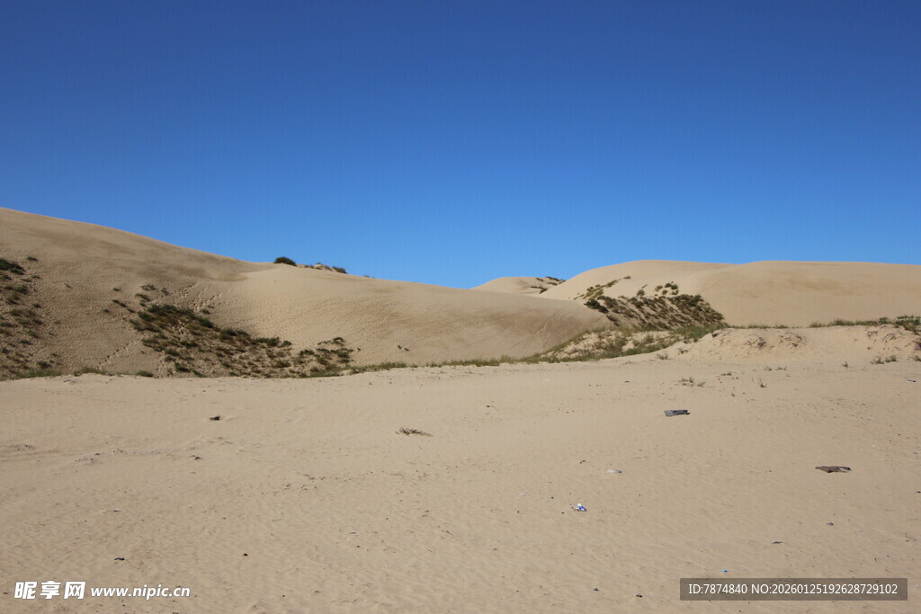广袤沙漠中的稀疏植被