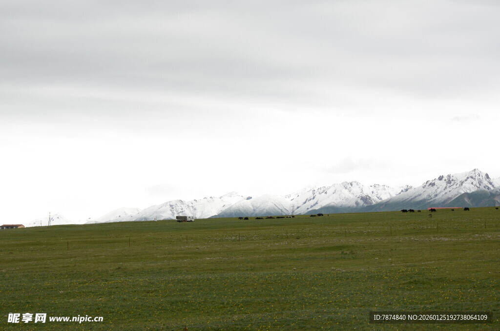 草原远景 雪山隐约可见