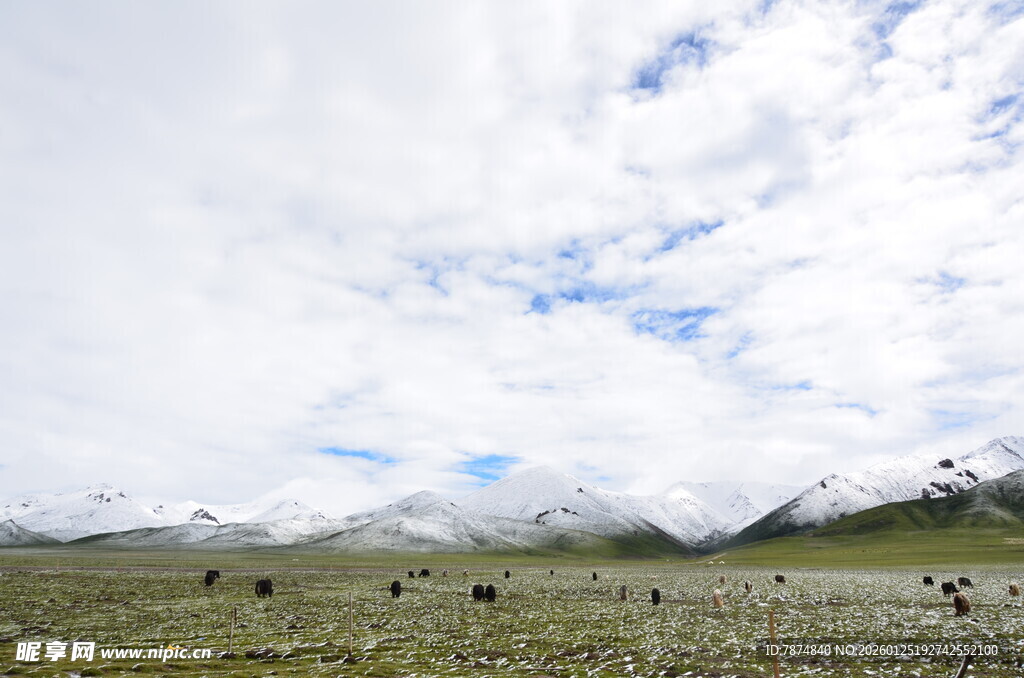 草原雪山蓝天风景图