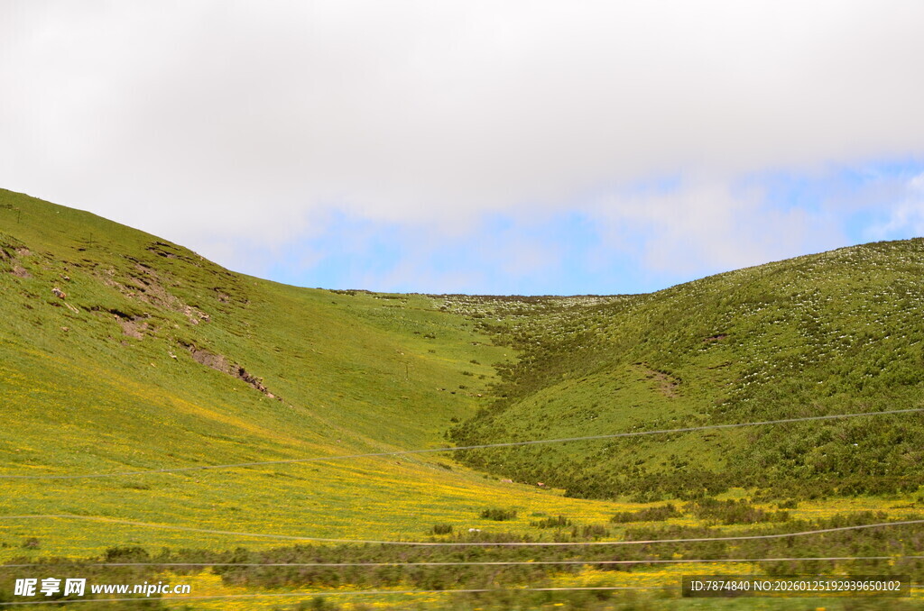 山间绿野 一抹亮丽春色
