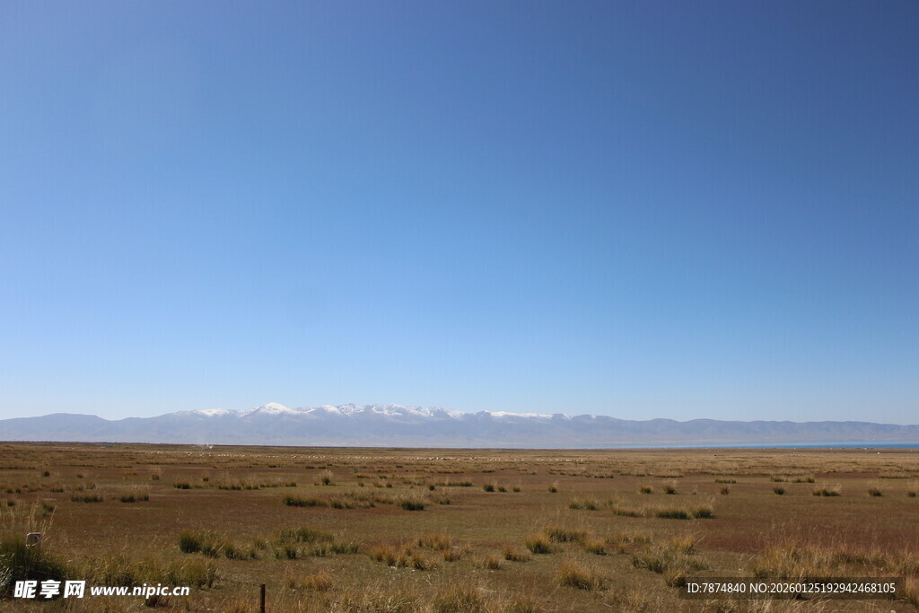 广袤草原与远处雪山景观