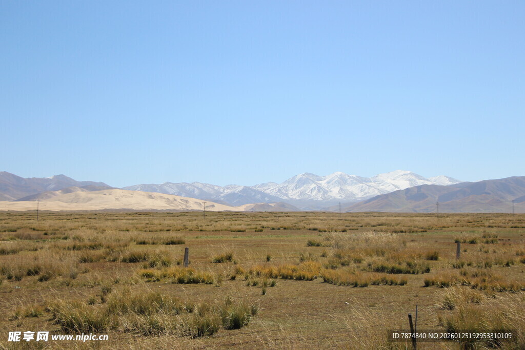 广袤荒原与远处雪山景观