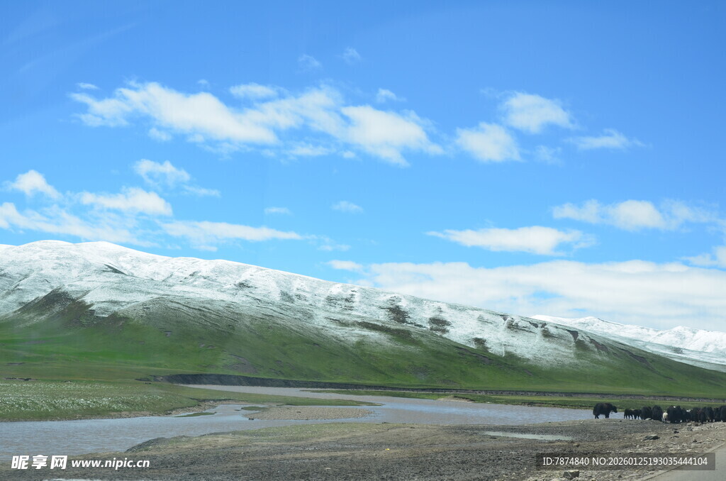 雪山下的旷野风光