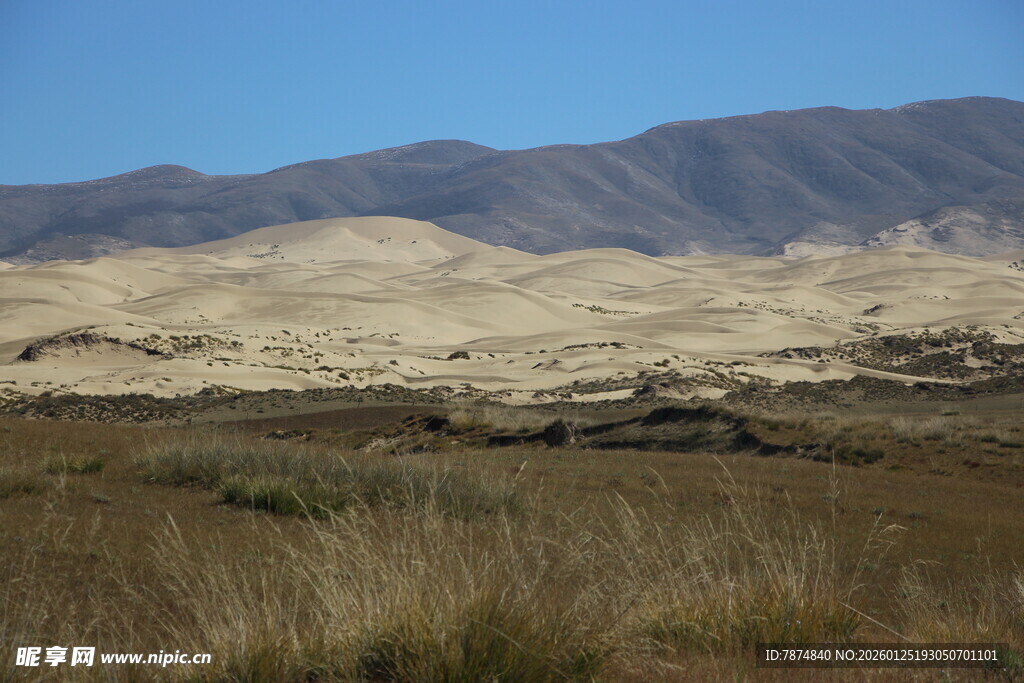 沙漠边缘的草地景观