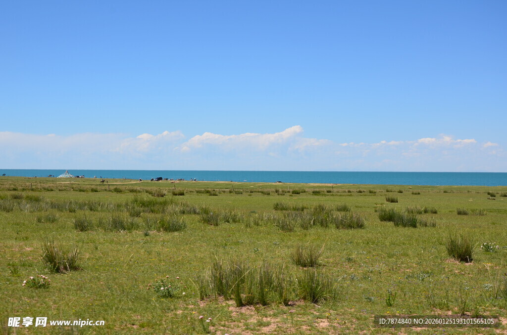 草原与海的广阔风光