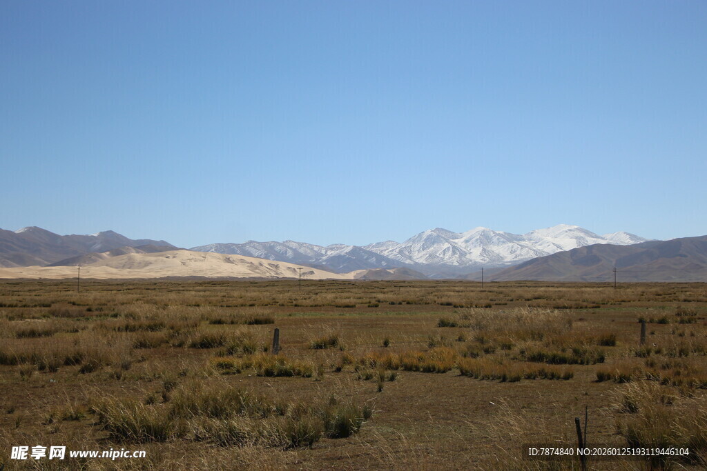 广袤原野与远处雪山景观