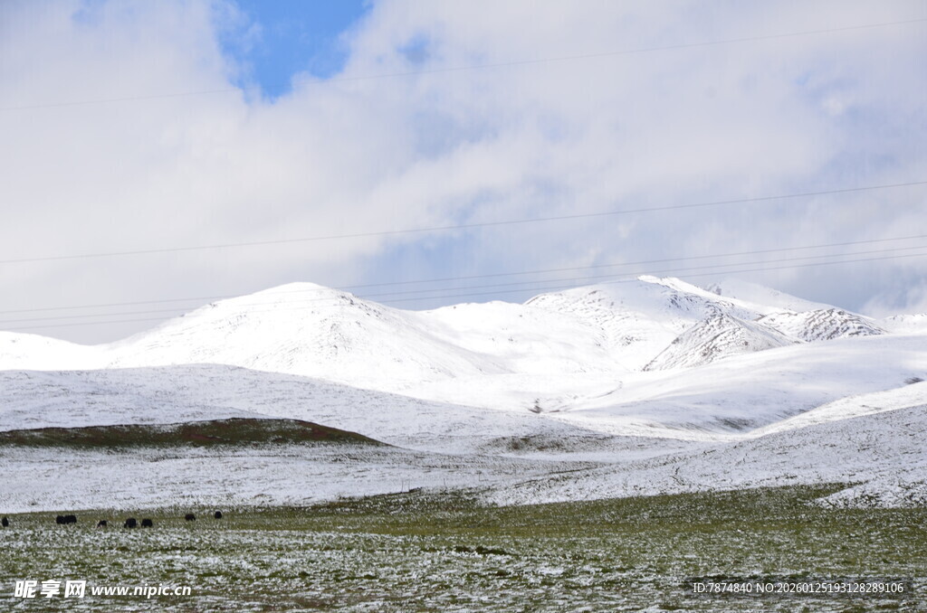 雪山草原美景
