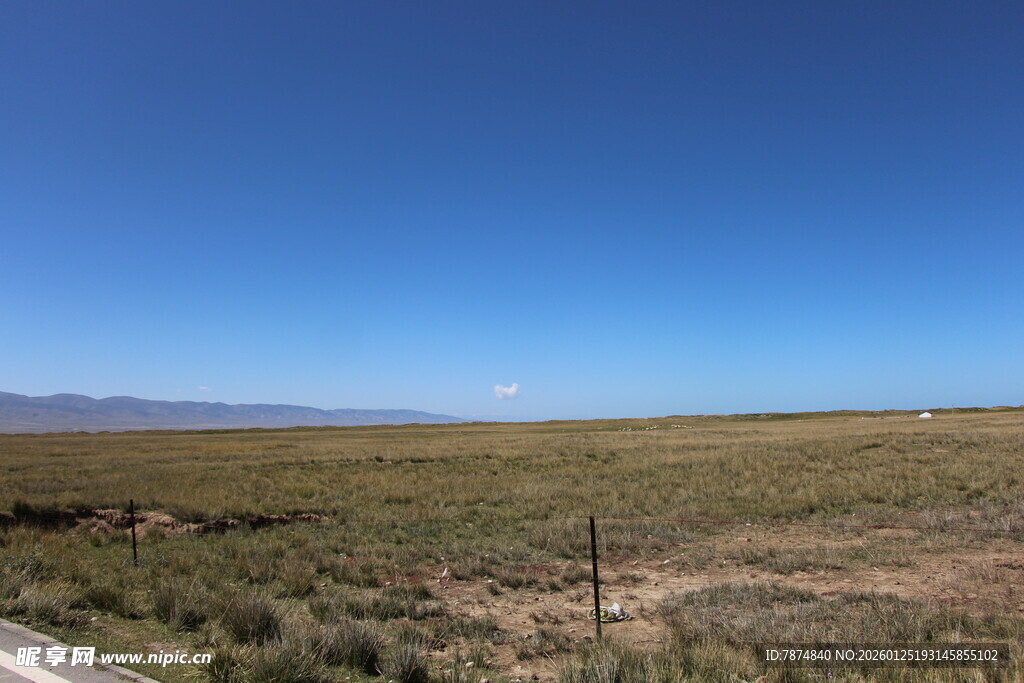 广阔草原上的蓝天与孤杆