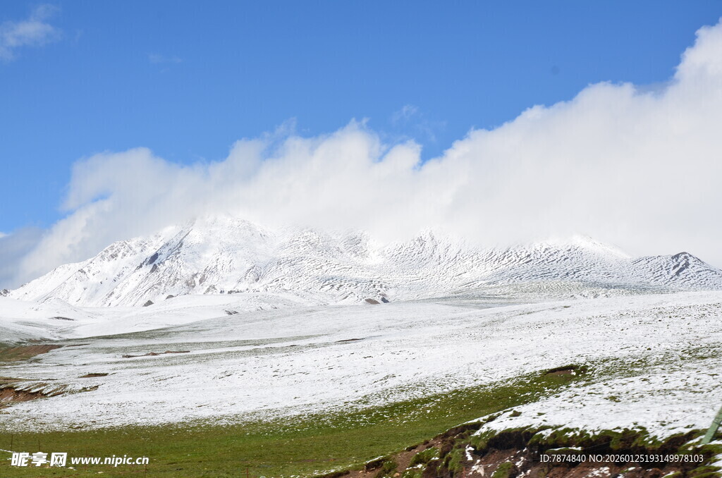 雪山下的草原美景