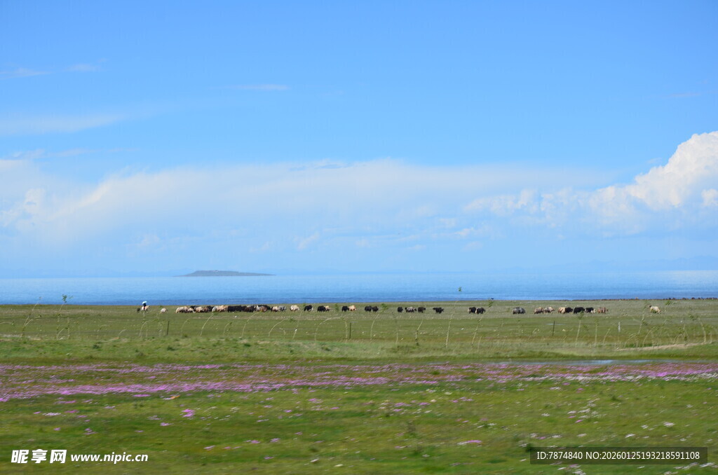 草原风光 辽阔天地美景