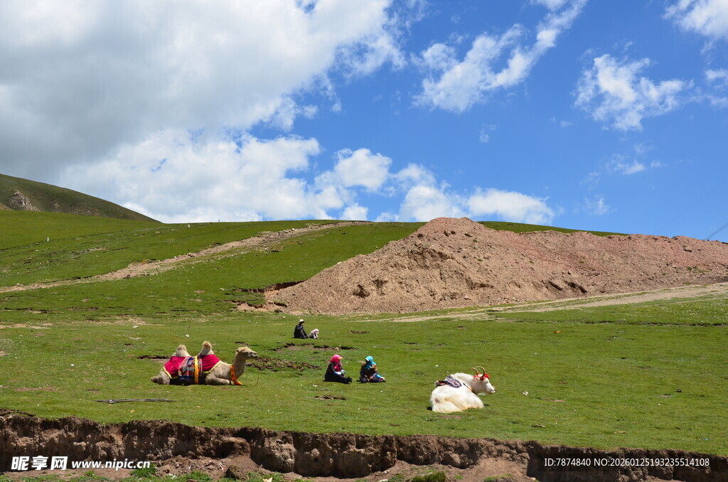 草原上的休闲露营场景