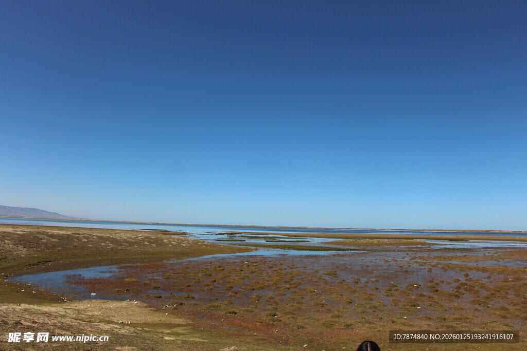 广袤湿地风光