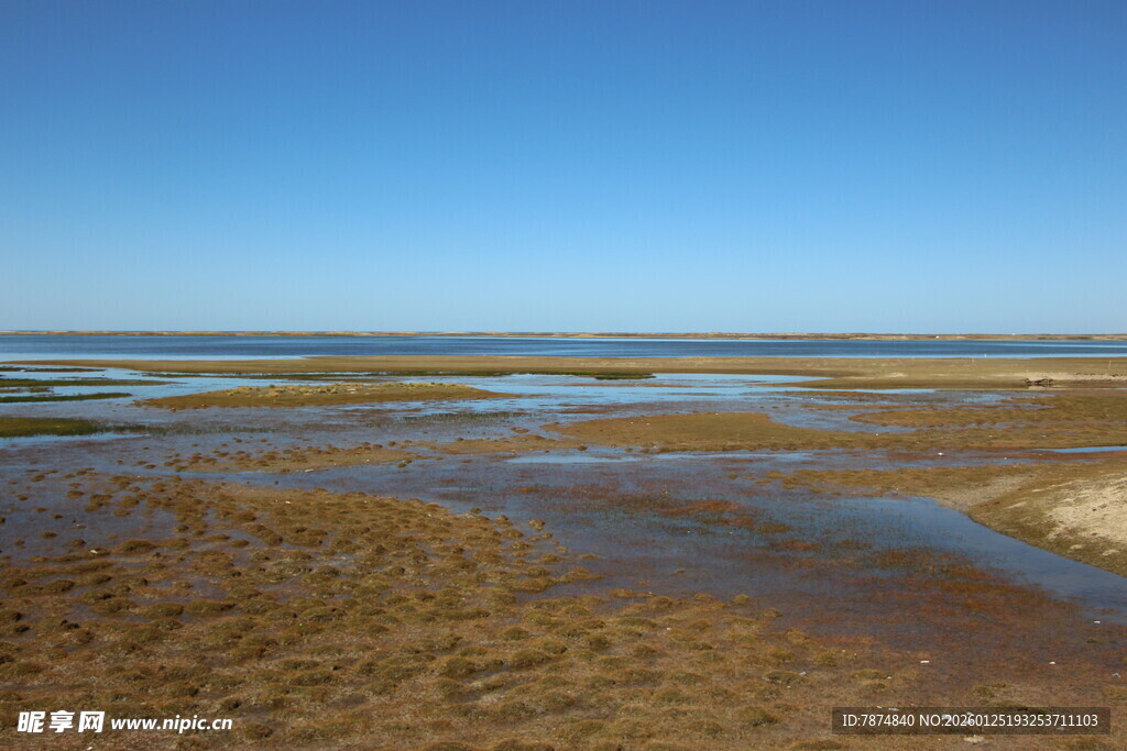广袤滩涂的宁静风光
