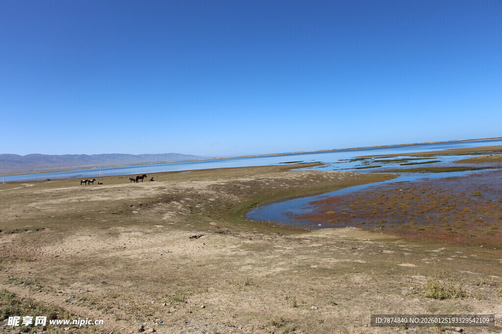 广袤荒原中的水域景观