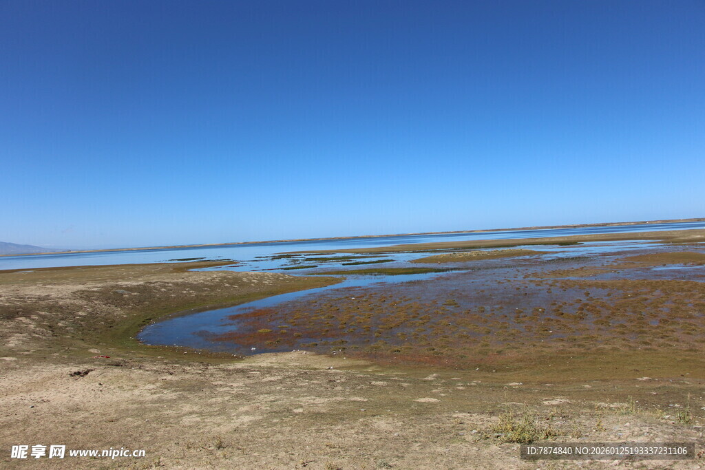 广阔湿地景观