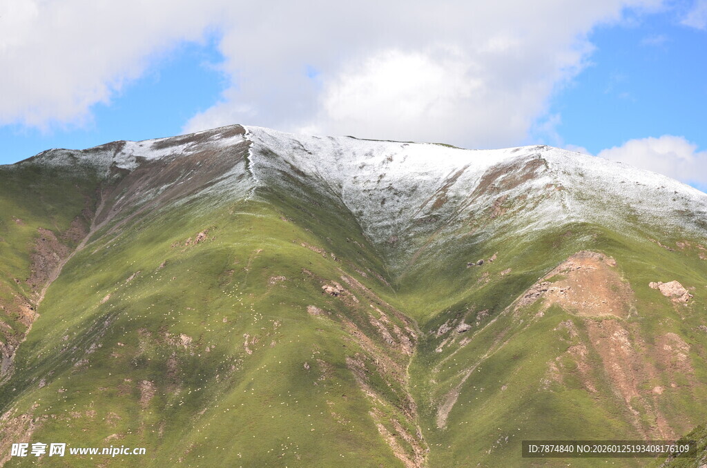 雪山下的翠绿山峦