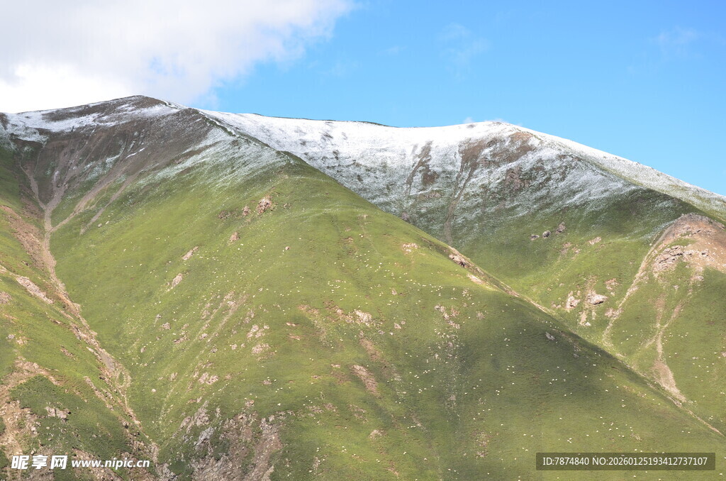雪山下的翠绿山峦