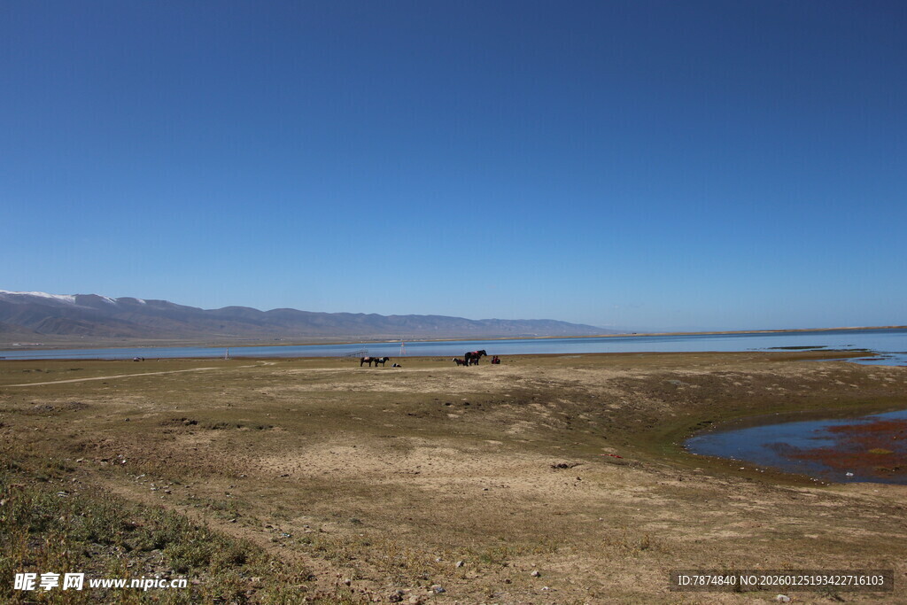 广袤荒原中的小片水域