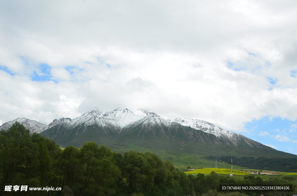 雪山下的葱郁山林