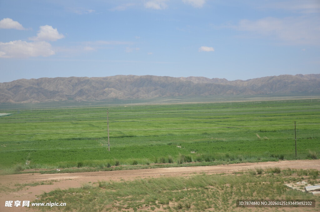 广袤绿野 远山蓝天相伴