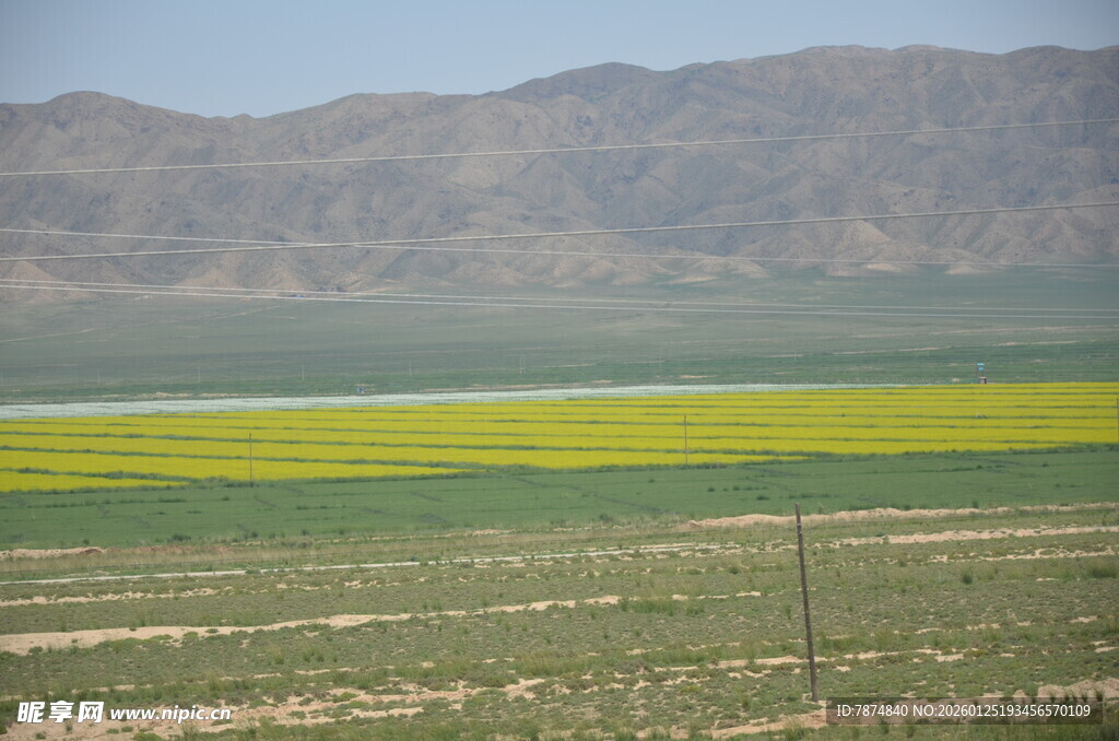 田野花海与远山美景