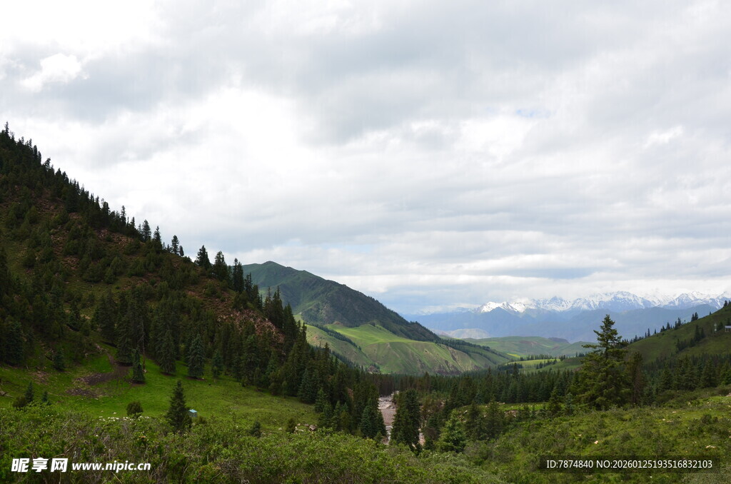 山间绿野 云雾缭绕之景