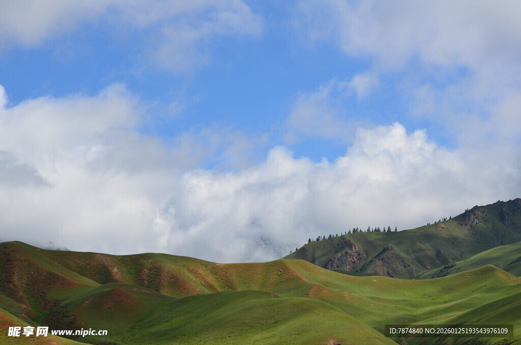 蓝天白云下的翠绿山丘