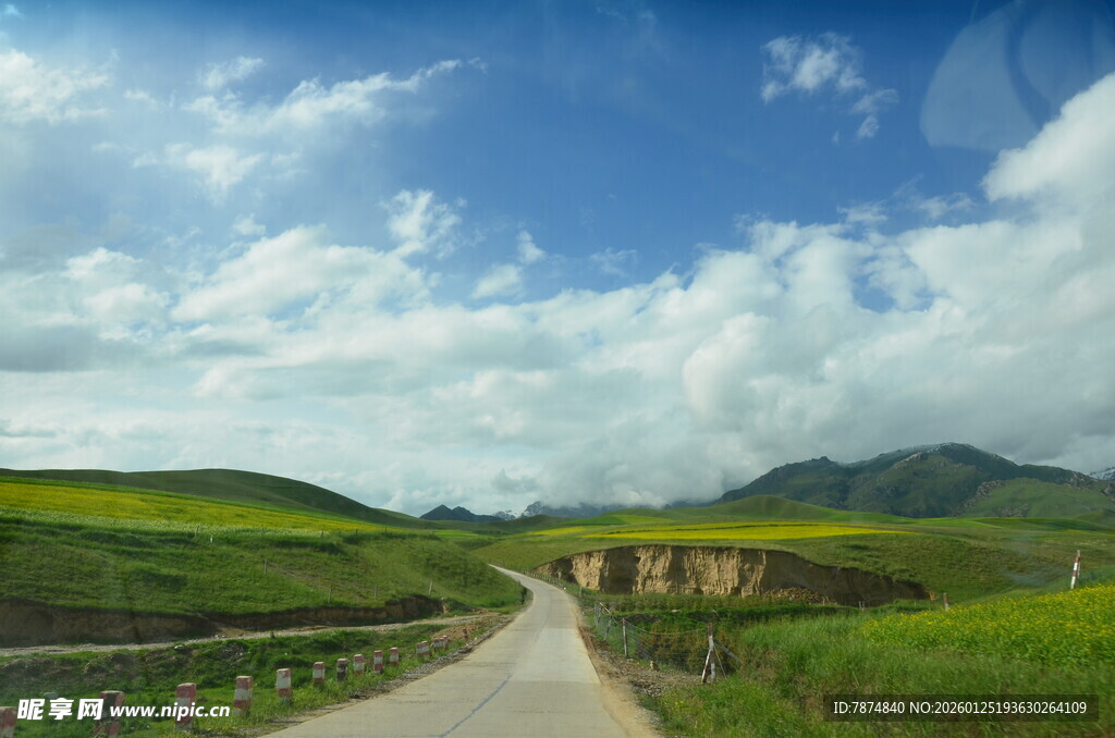 乡间小路旁的田园风光