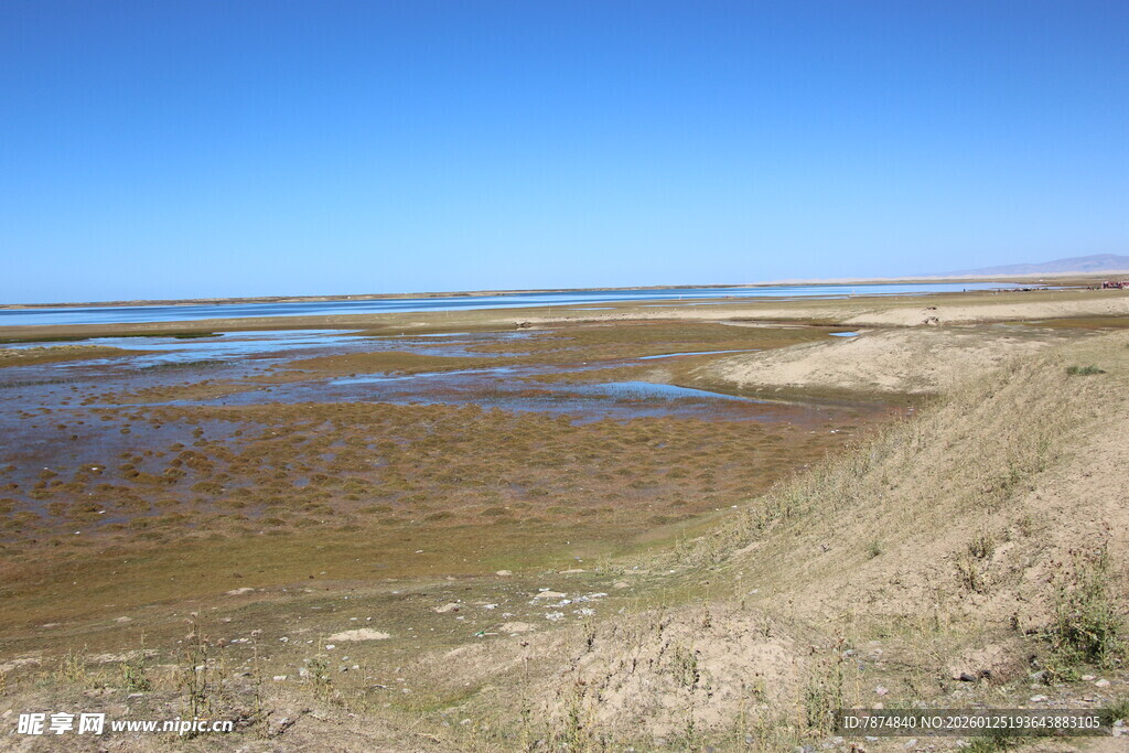 广袤湿地景观 水域与草地