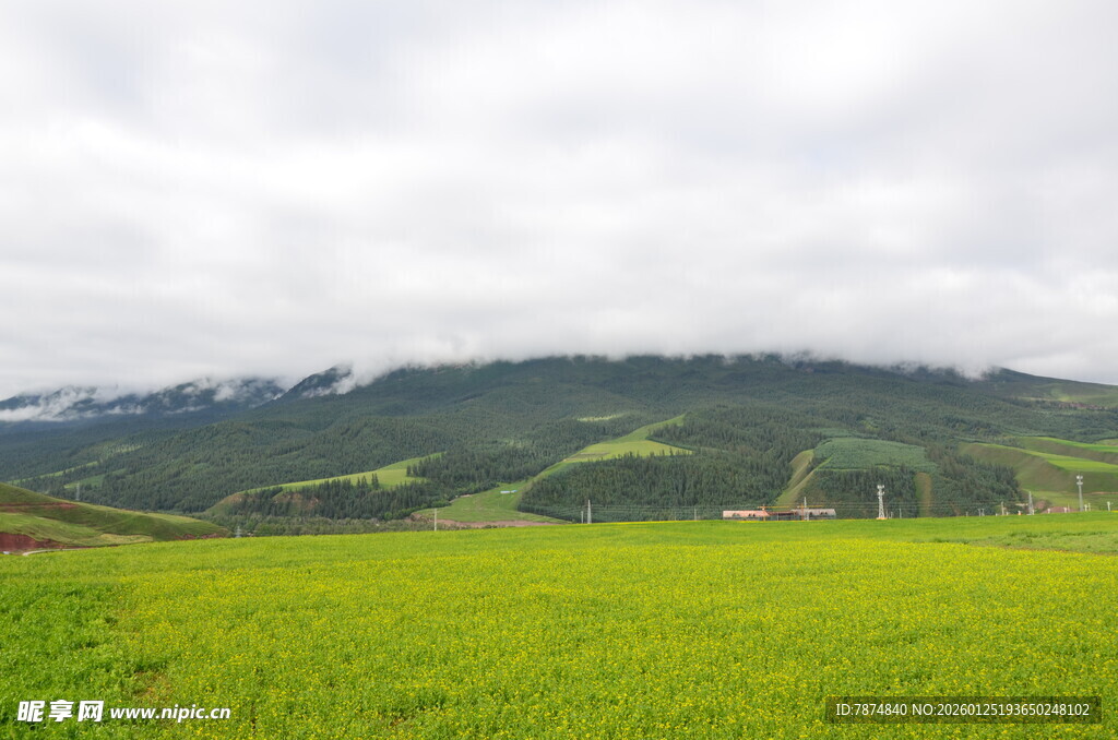 绿色田野与远山美景