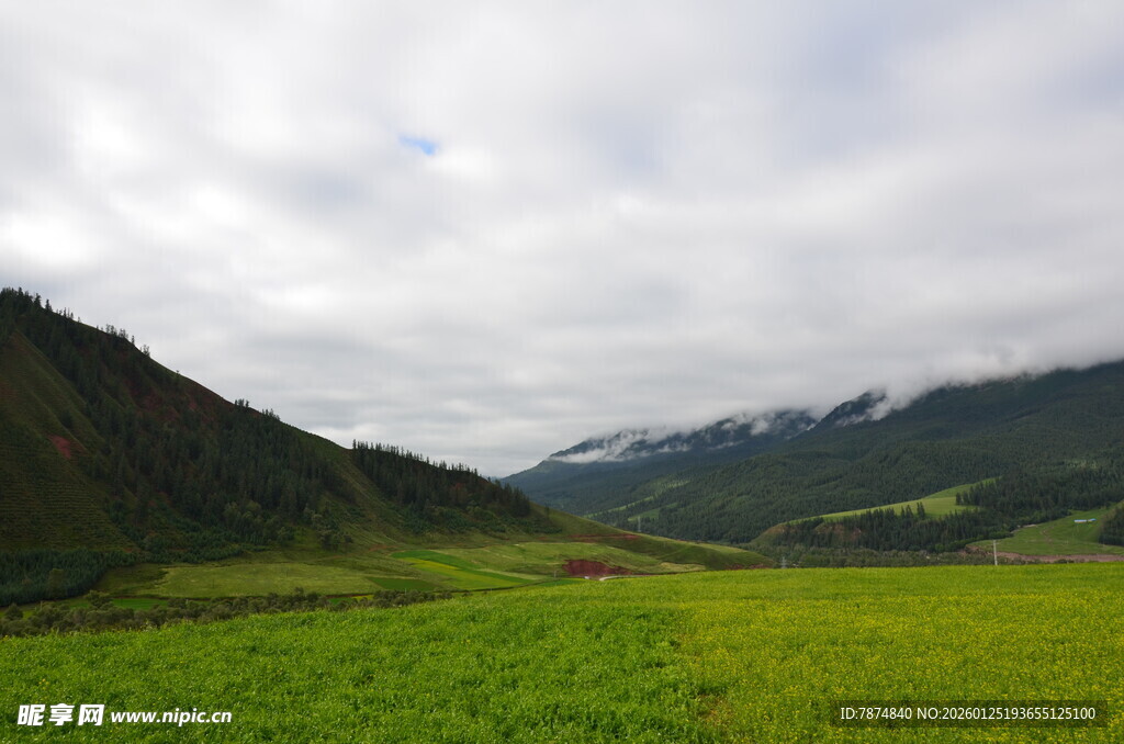 草原山谷间的壮美风光