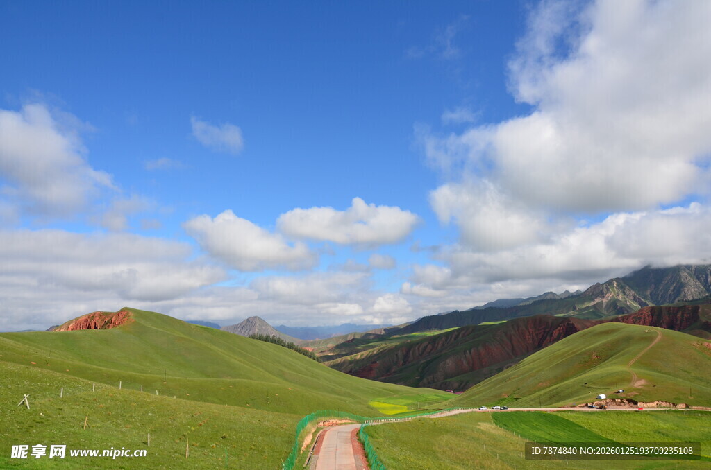 草原美景中的蜿蜒小路