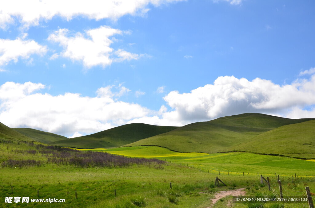 草原风光 蓝天白云绿野