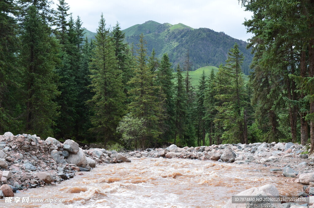 山间湍急河流与茂密森林