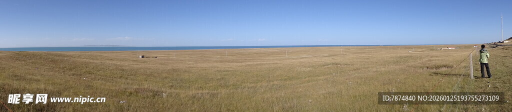 广阔草原上的独行者