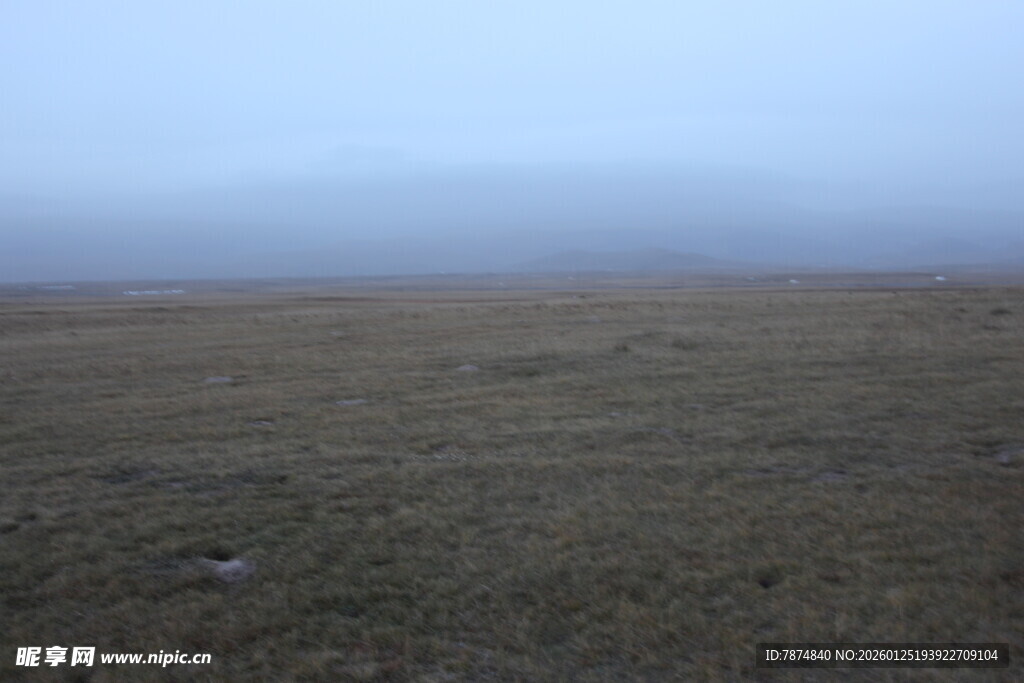 雾中广袤原野