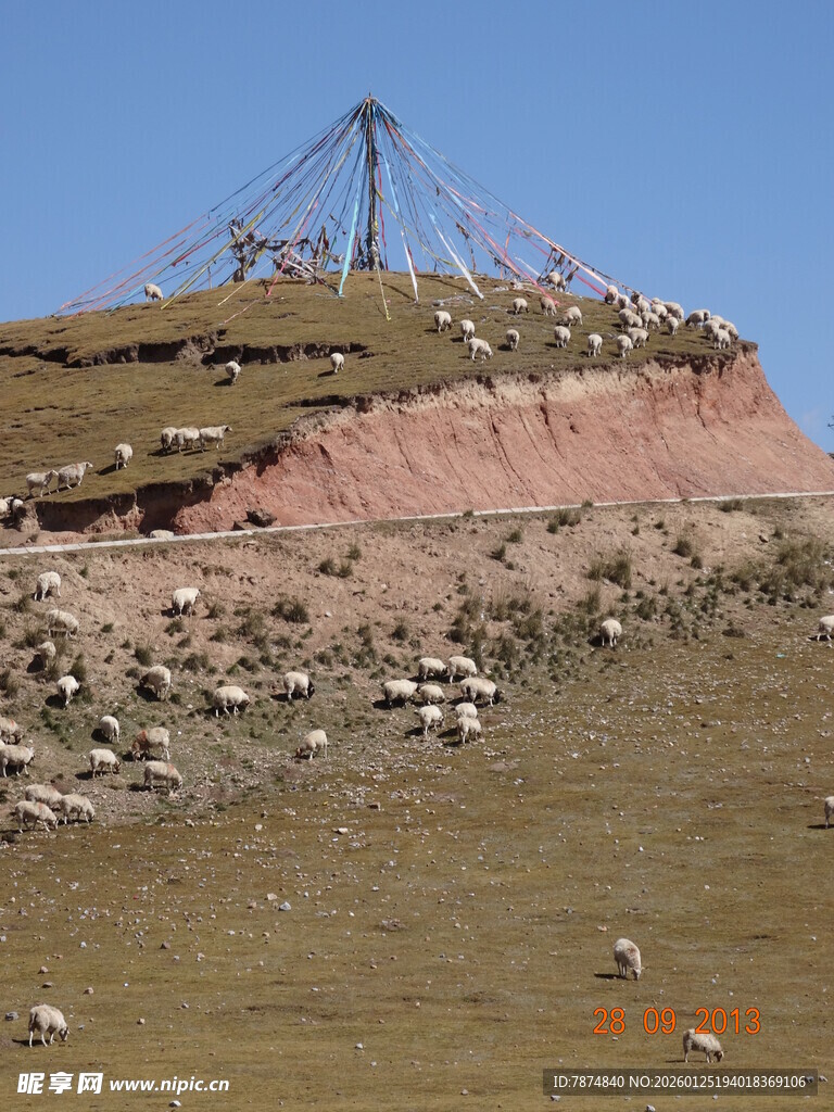 草原羊群与经幡景观